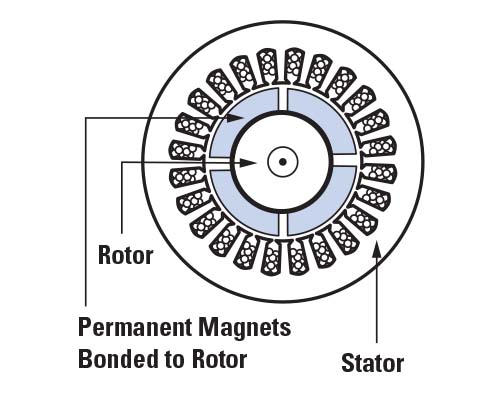 Cross-section of a brushless DC motor