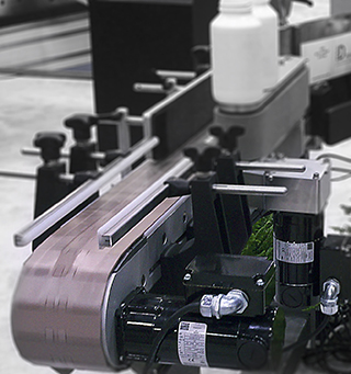 PMDC Motors and Gearmotors 